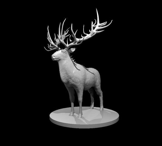 Dire Reindeer