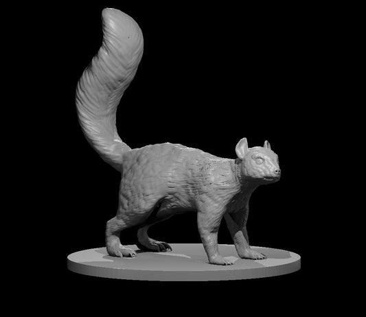 Dire Squirrel