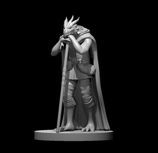 Dragonborn Druid