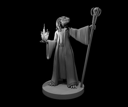 Dragonborn Sorcerer