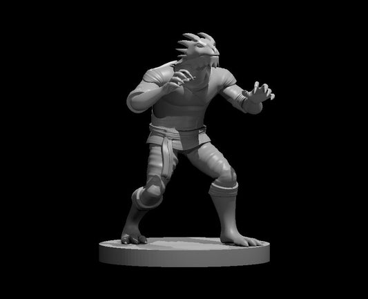 Dragonborn Monks