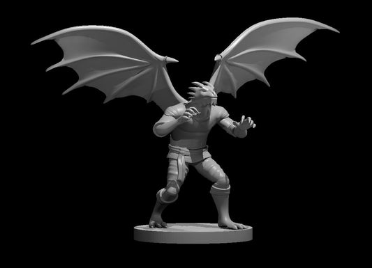 Dragonborn Monks