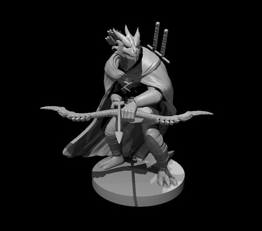 Dragonborn Rangers