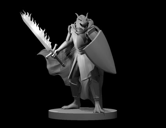 Dragonborn Paladins