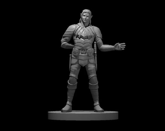 Elven Rogues