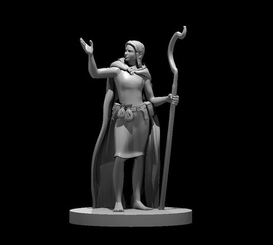 Druid