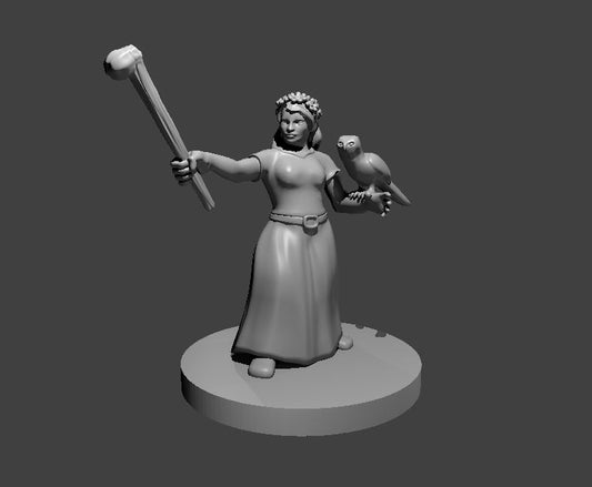 Dwarf Druid