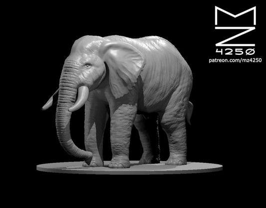 Elephant