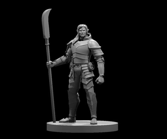 Elf Male Fighter Heavy Armor w Glaive