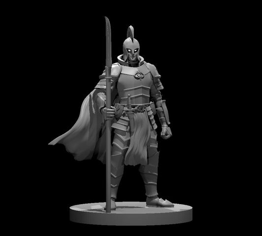 Elf Male Paladin 3 w Glaive