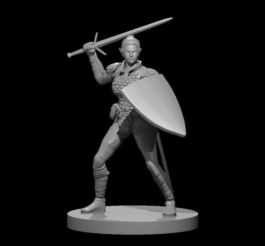 Elven Paladins