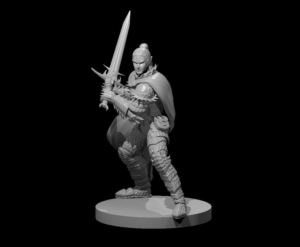 Elven Paladins