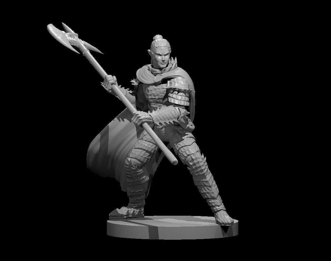 Elven Paladins