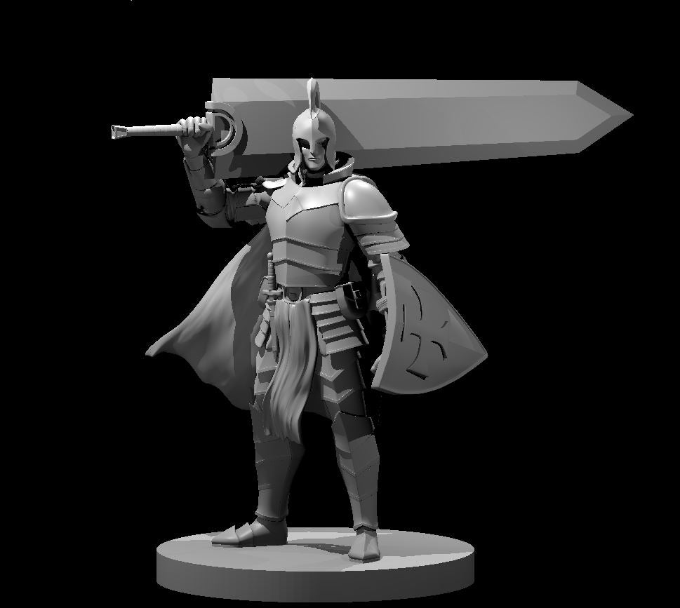 Elven Paladins