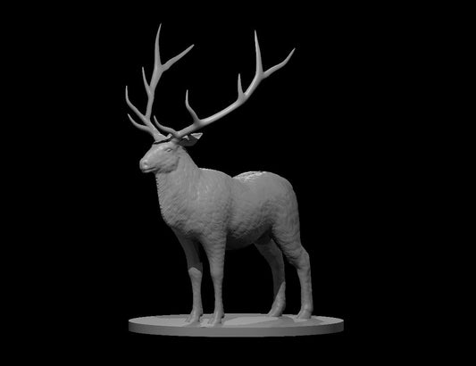 Elk