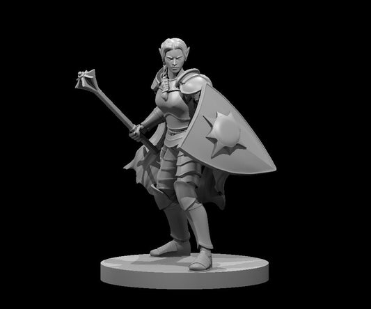 Elf Clerics
