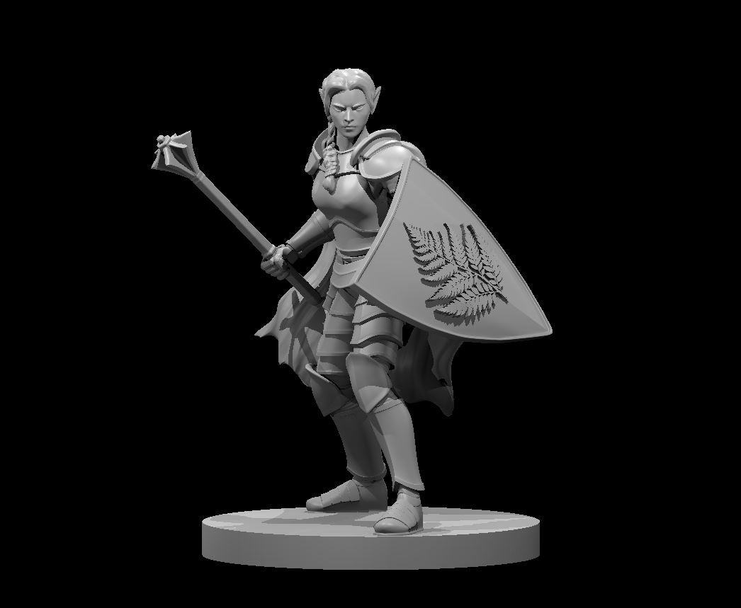 Elf Clerics