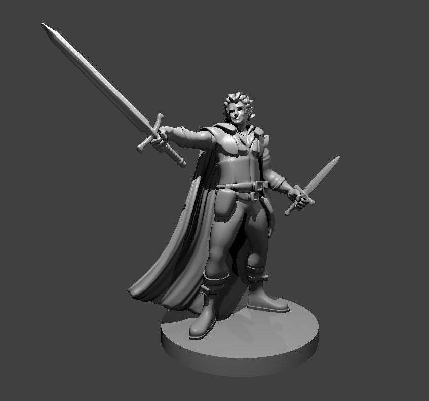 Elven Rogues