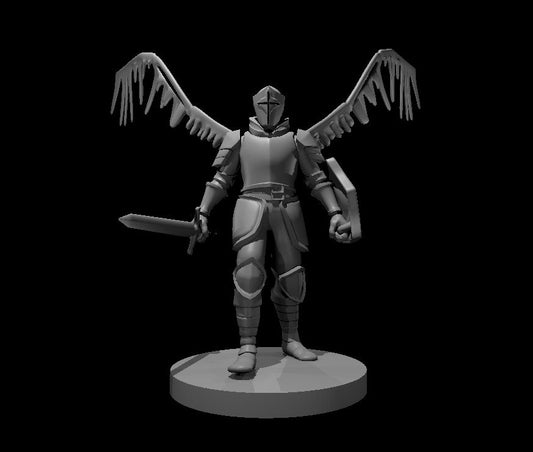 Aasimar Paladins