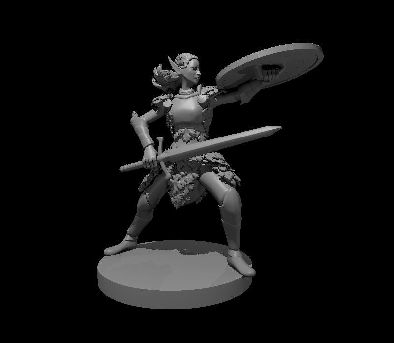 Elven Fighters