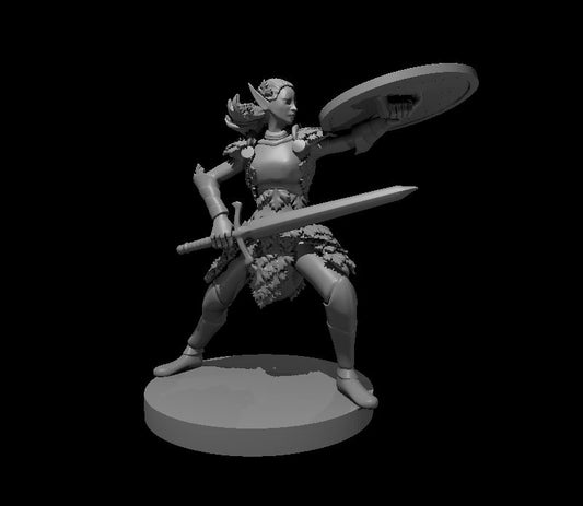 Elven Fighters