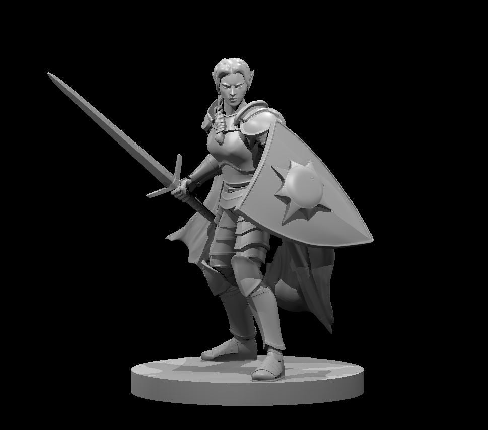 Elven Paladins