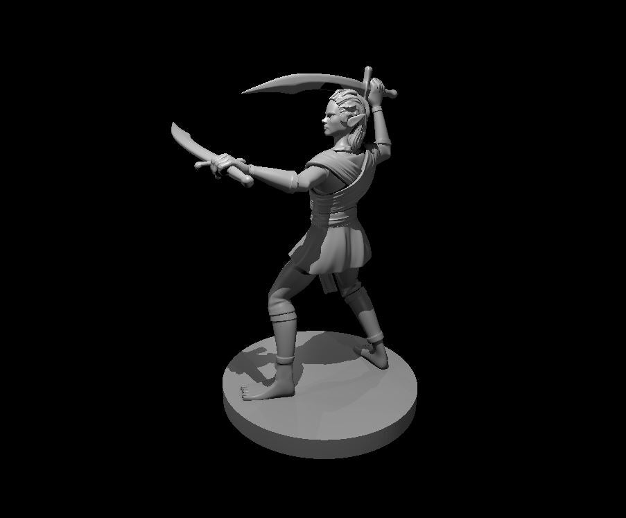 Elven Fighters