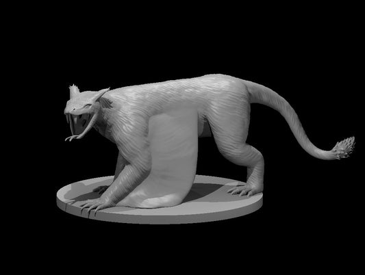 Flying Cat Lizard