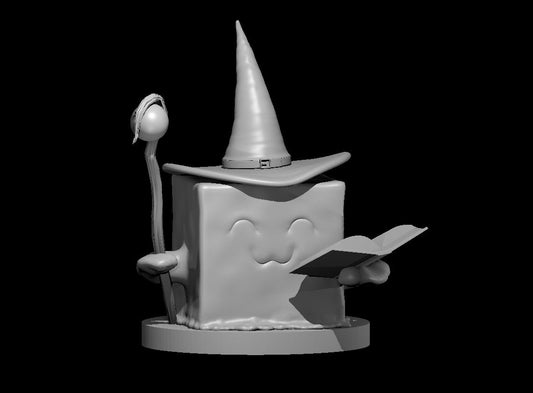 Gelatinous Cube Wizard Adventurer