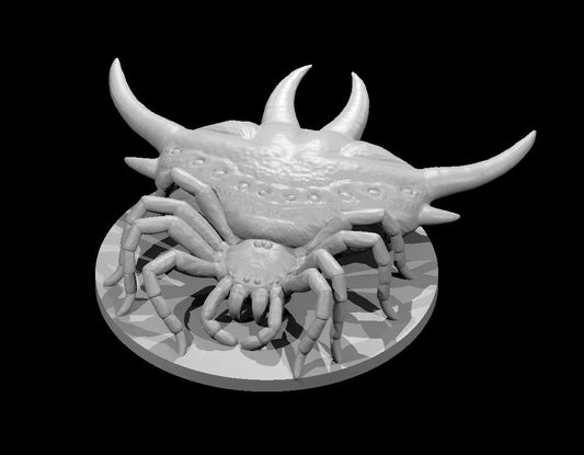 Giant Devils Crab Orb Weaver Spider