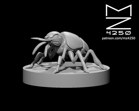 Giant Fire Beetle