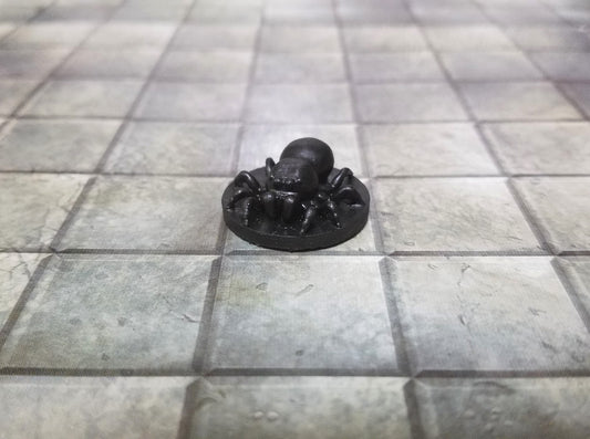 Giant Jumping Spider