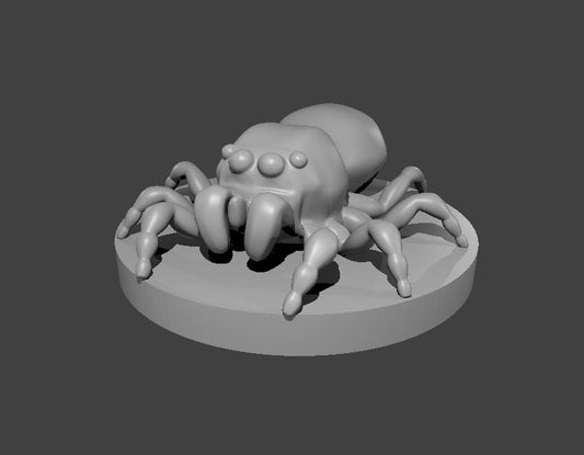 Giant Jumping Spider