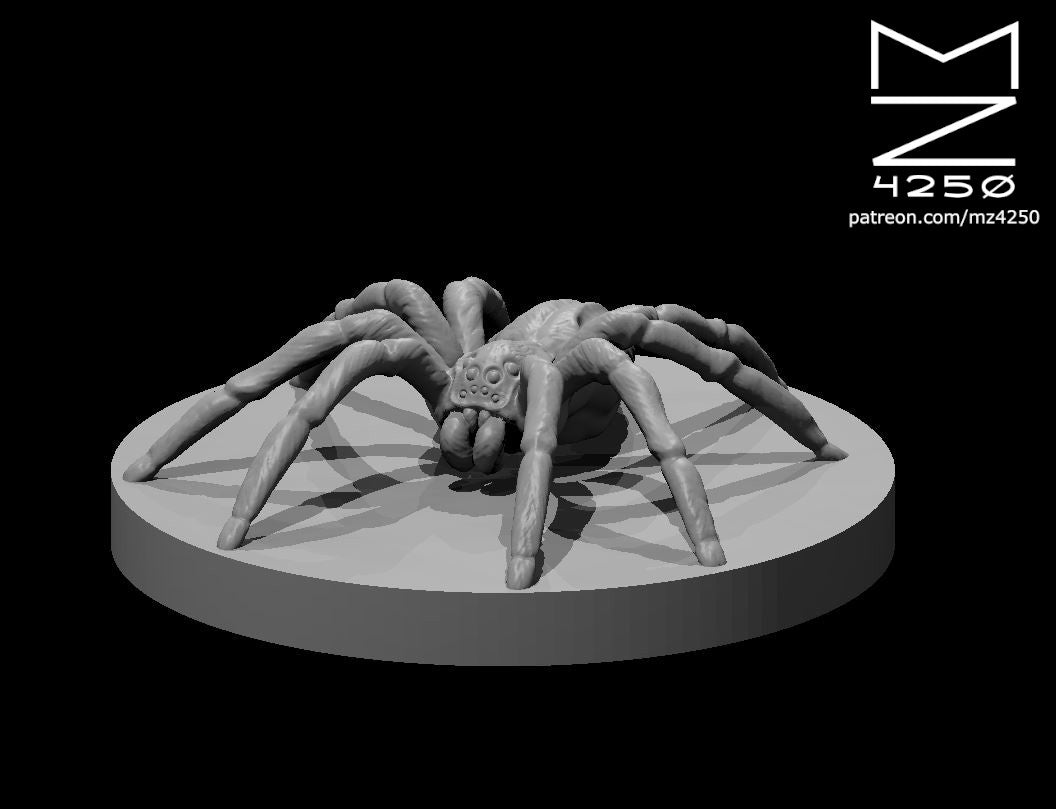 Giant Wolf Spider