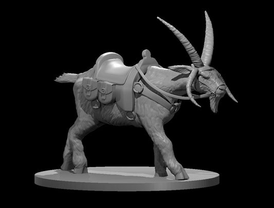 Giant Goat