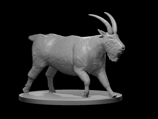 Giant Mountain Goat