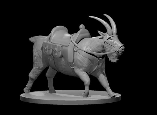 Giant Mountain Goat