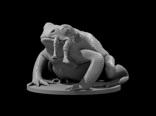 Giant Toad