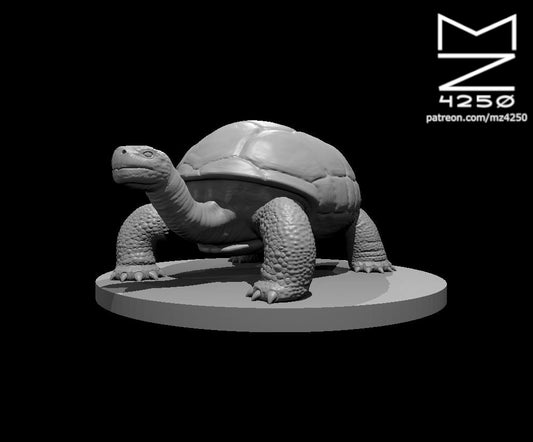 Giant Tortoise