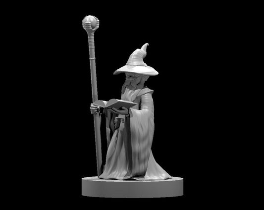 Gnome Male Wizard 2