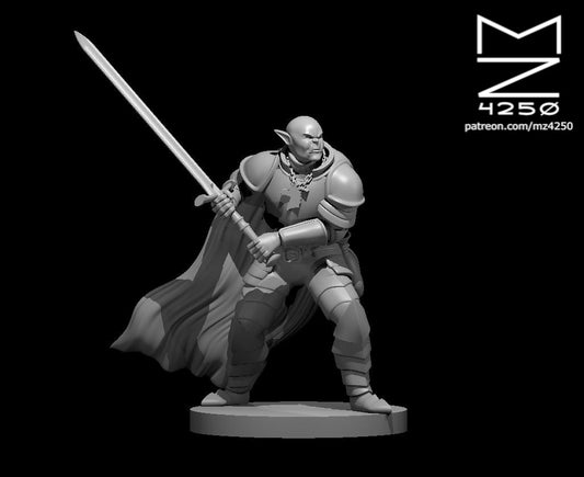 Half Orc Paladin