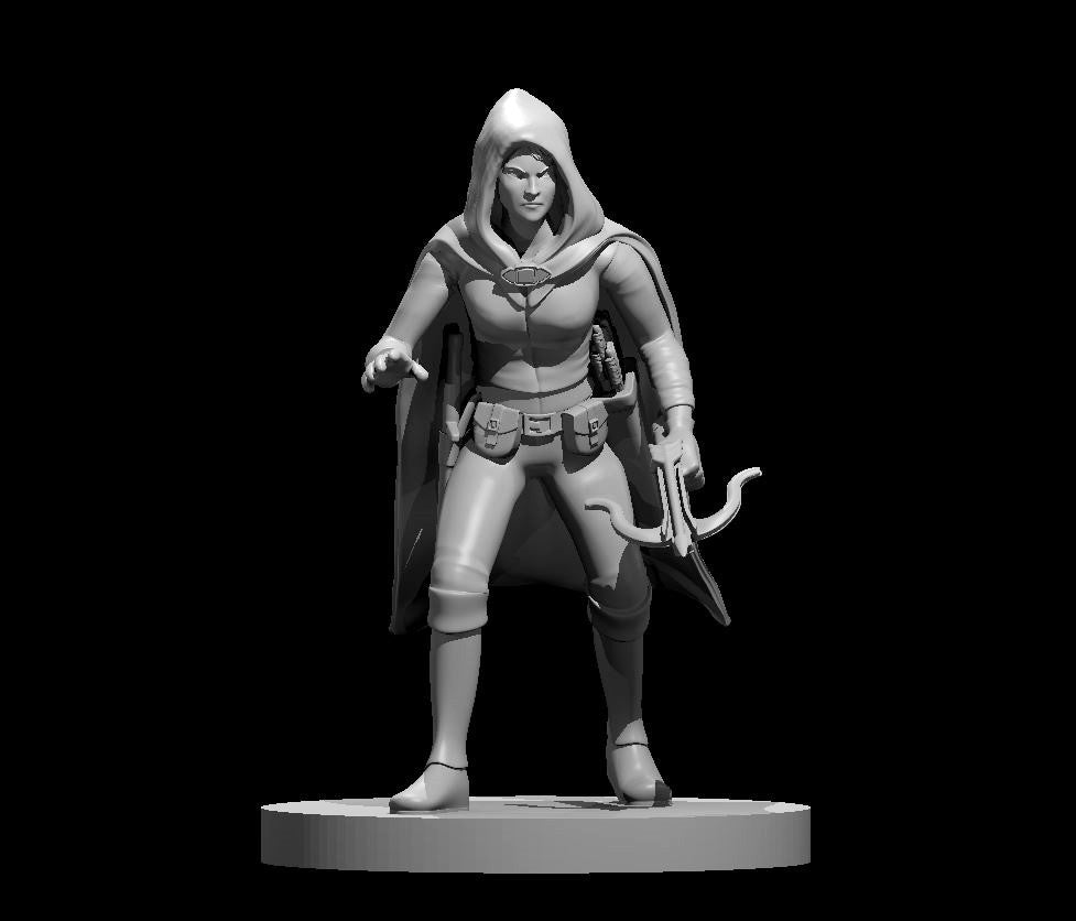 Elven Rogues