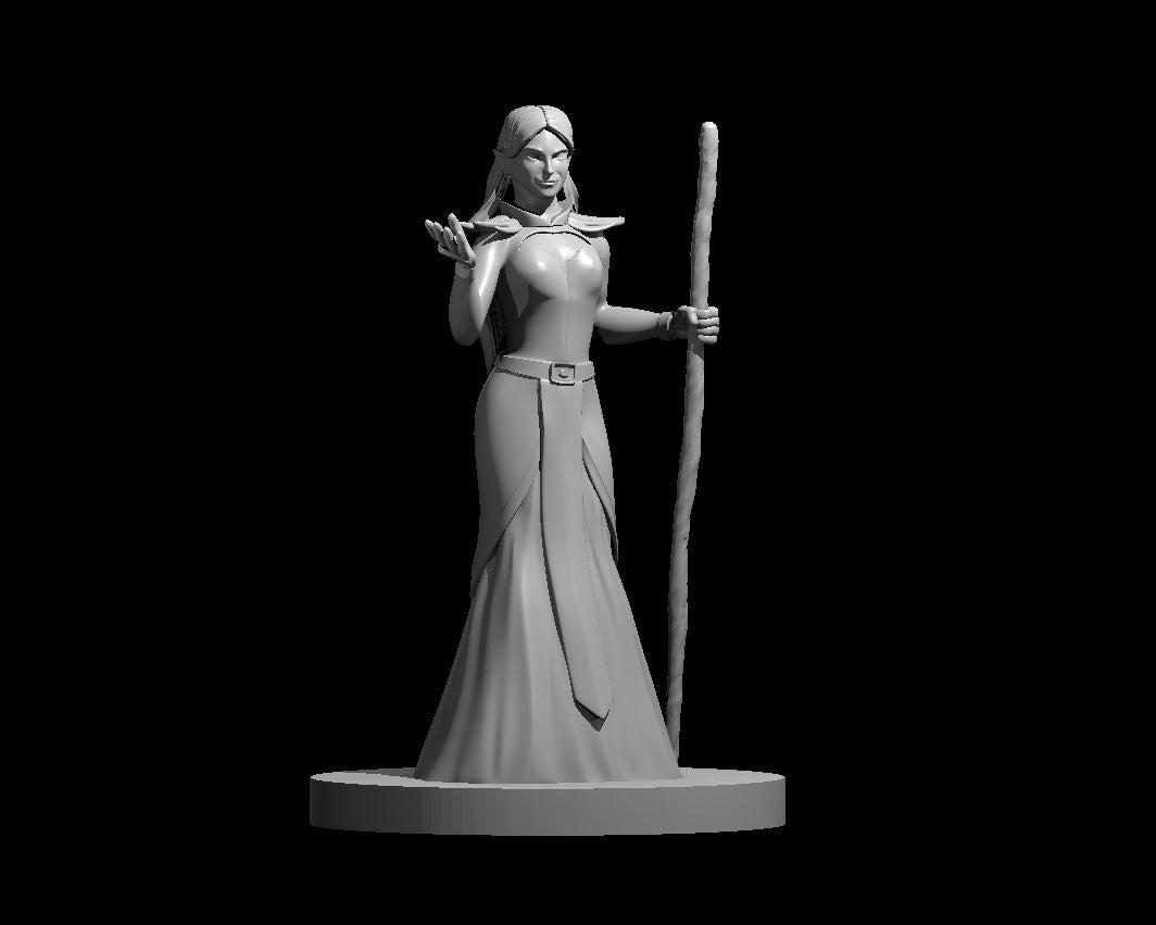 Elf Sorcerer