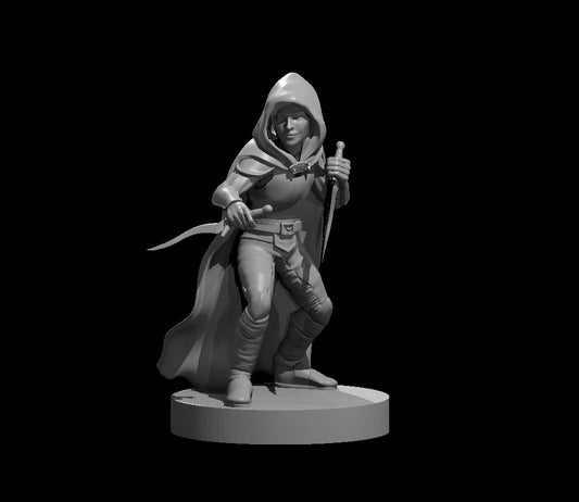 Halfling Rogues