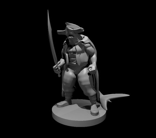 Hammerhead Pirate