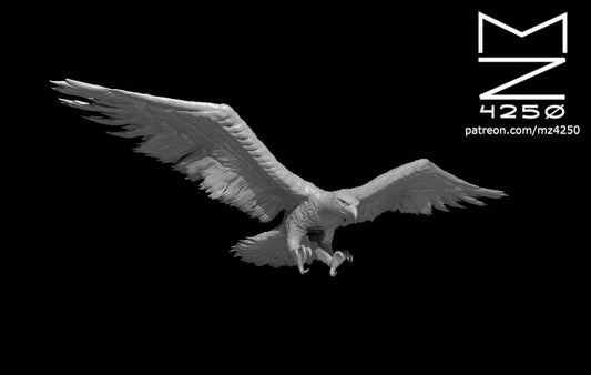 Hawk