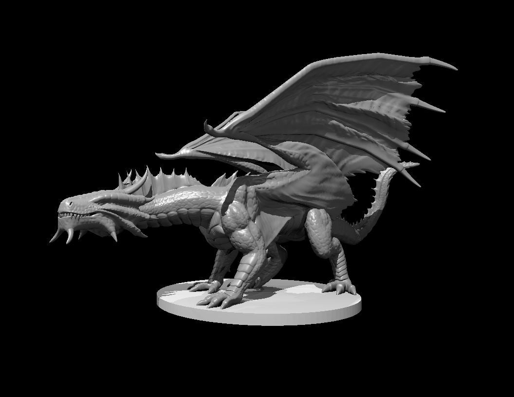 Bronze Dragon